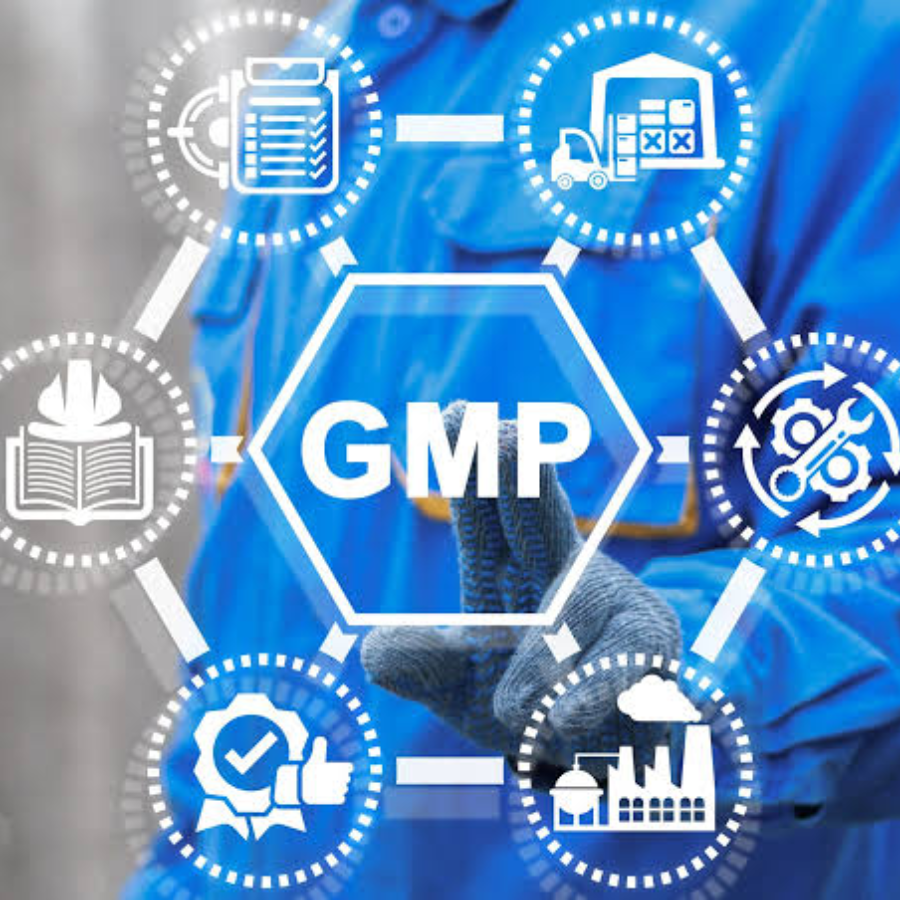 GMP Good Manufacturing Practice certification